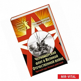 Черноморский флот в Великой Отечественной войне. Краткий курс боевых действий