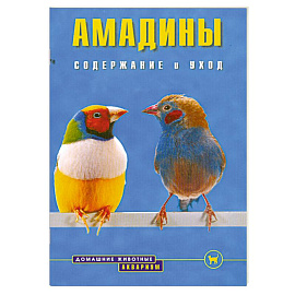 Амадины