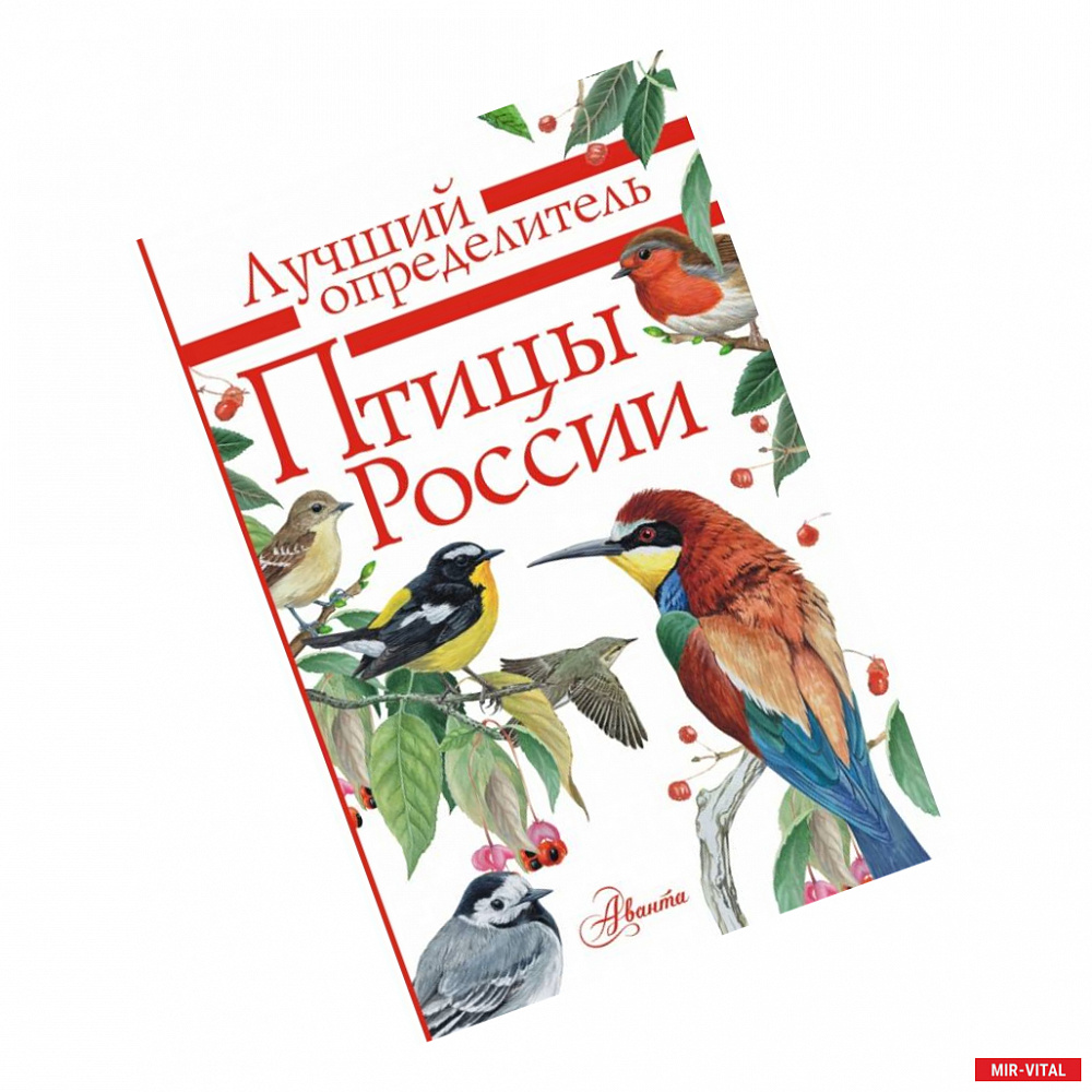 Фото Птицы России