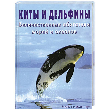 Фото Киты и дельфины