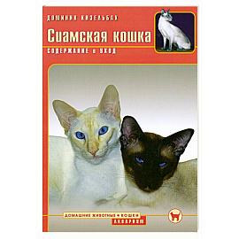 Сиамская кошка