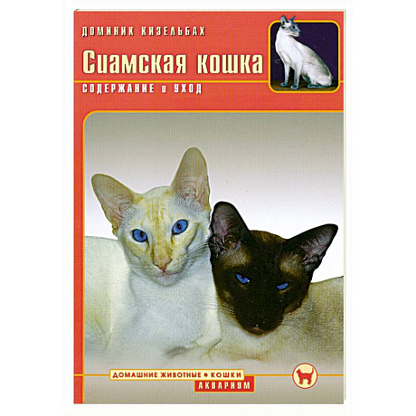 Фото Сиамская кошка
