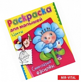 Цветы.Синеглазый василек