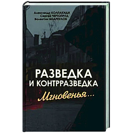 Разведка и контрразведка. Мгновенья…