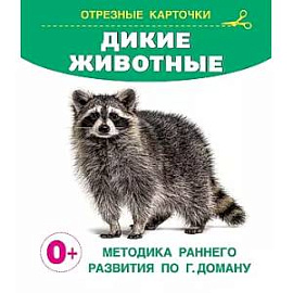 Дикие животные