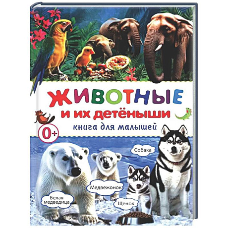 Фото Животные и их детеныши. Книга для малышей