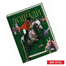 Лошади