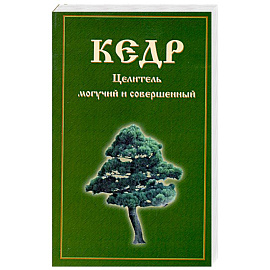 Кедр. Целитель могучий и совершенный