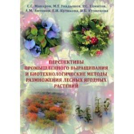 Перспективы промышленного выращивания и методы размножения лесных ягодных растений