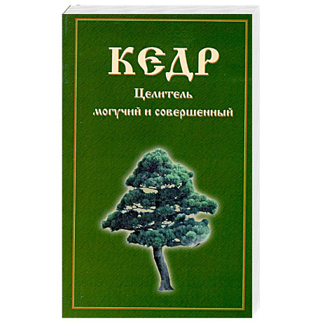 Фото Кедр. Целитель могучий и совершенный
