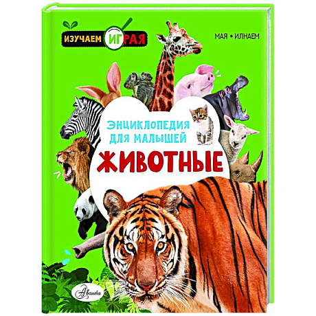 Фото Животные