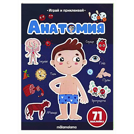Фото Анатомия. Играй и приклеивай