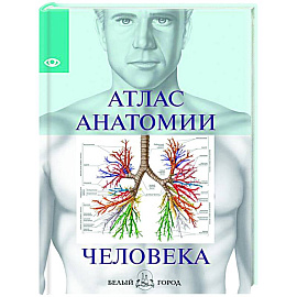Атлас анатомии человека