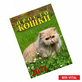 Календарь на 2021 год 'Просто кошки'