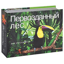 Первозданный лес. Все краски мира