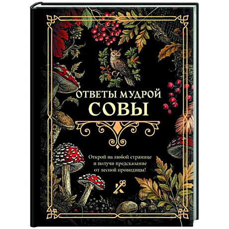 Фото Ответы мудрой совы
