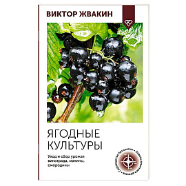 Ягодные культуры. Уход и сбор урожая винограда, малины, смородины