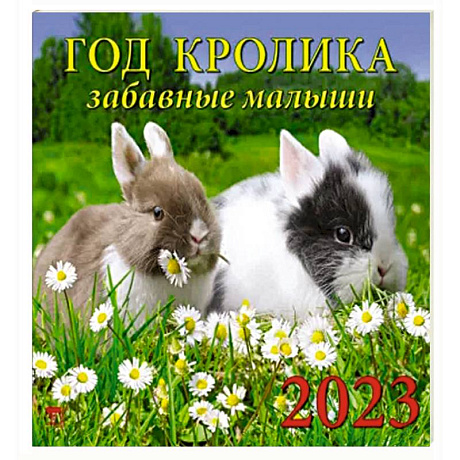 Фото Календарь Год кролика.Забавные малыши на 2023 год