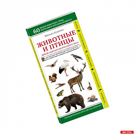 Животные и птицы. Дикие обитатели русского леса