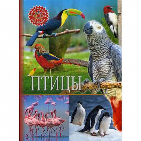 Фото Птицы