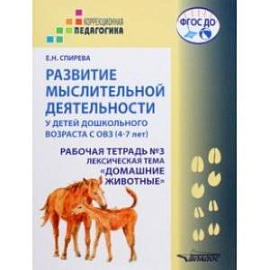 Развитие мыслительной деятельности у детей дошкольного возраста с ОВЗ (4-7 лет). Рабочая тетрадь № 3