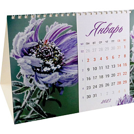 Календарь-домик 2023. Цветы