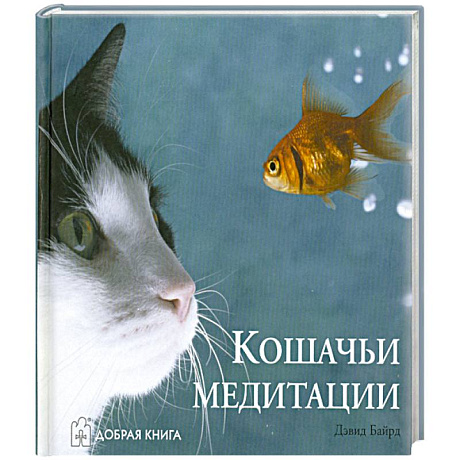 Фото Кошачьи медитации
