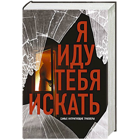 Фото Я иду тебя искать. Самые интригующие триллеры