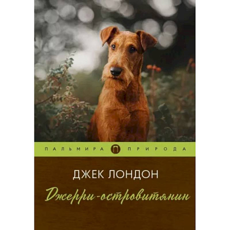 Фото Джерри-островитянин