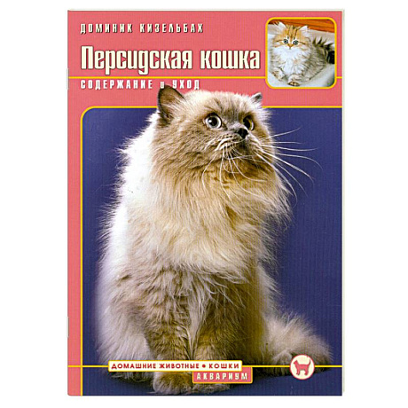 Фото Персидская кошка. Содержание и уход