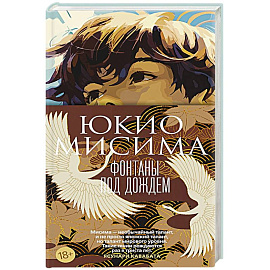 Фонтаны под дождем