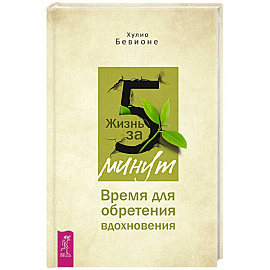 Жизнь за 5 минут. Время для обретения вдохновения