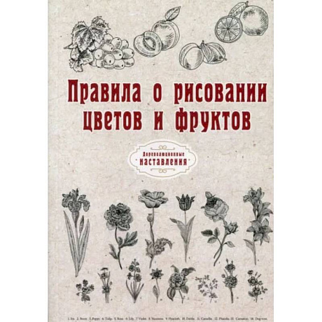 Фото Правила о рисовании цветов и фруктов.