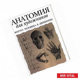 Анатомия для художников: фигура человека в движении