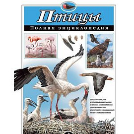 Птицы. Полная энциклопедия