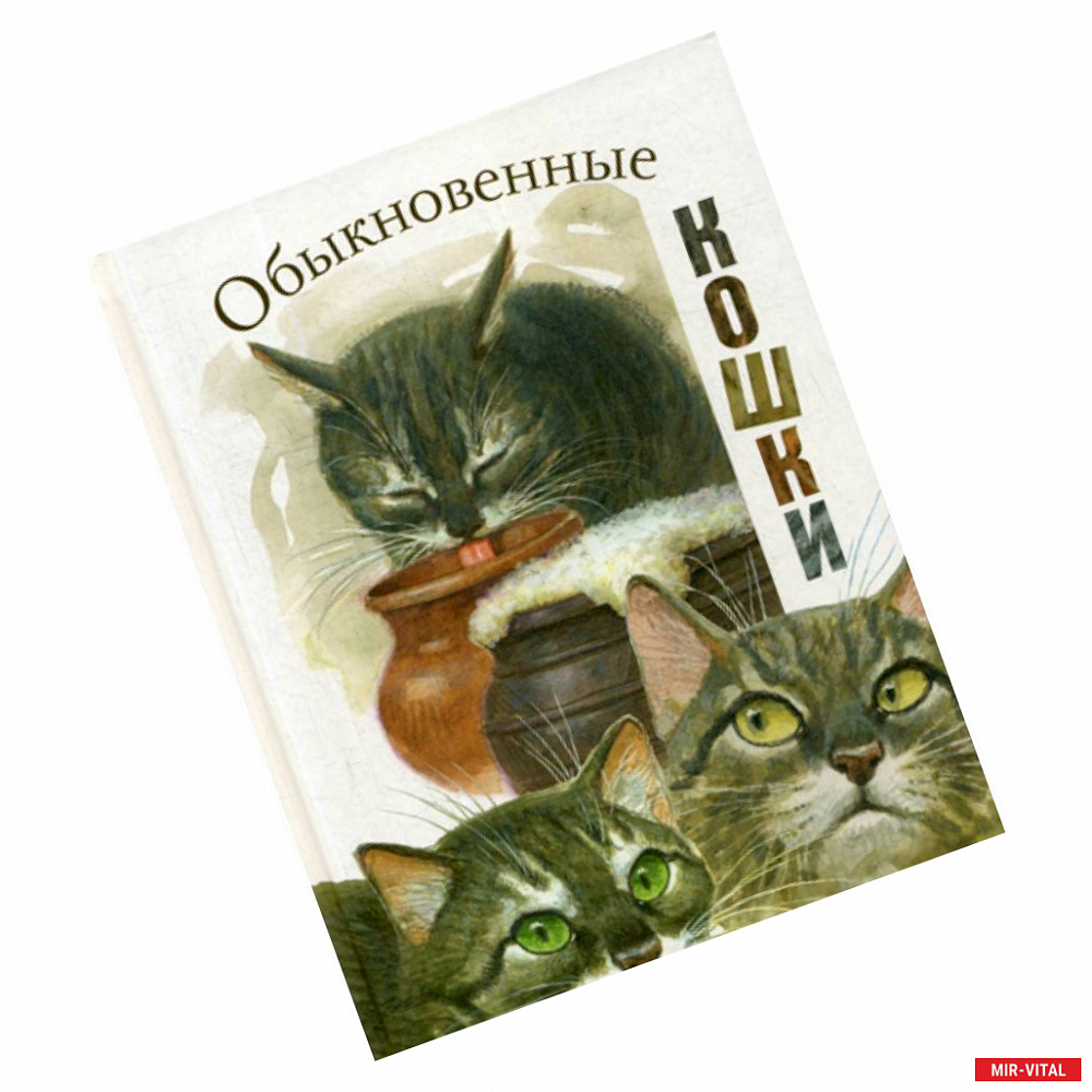 Фото Обыкновенные кошки