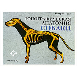 Топографическая анатомия собаки