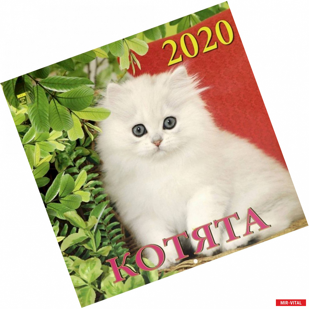 Фото Календарь 2020 'Котята'