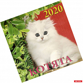 Календарь 2020 'Котята'