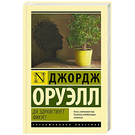 Фото Да здравствует фикус!