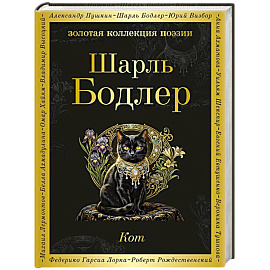 Кот