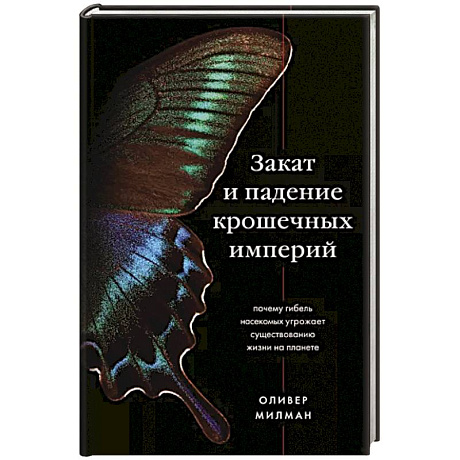 Фото Закат и падение крошечных империй. Почему гибель насекомых угрожает существованию жизни на планете