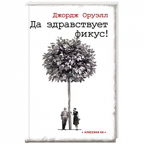 Фото Да здравствует фикус !