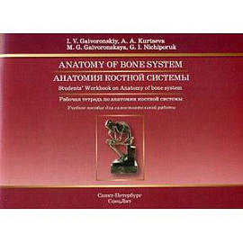 Анатомия костной системы. Рабочая тетрадь (на английском языке)