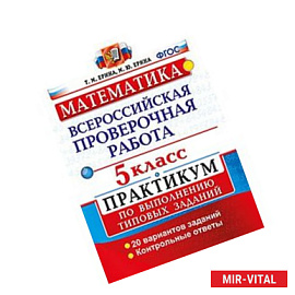 Математика. 5 класс. Всероссийская проверочная работа. Практикум по выполнению типовых заданий