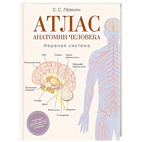 Фото Атлас анатомии человека. Нервная система