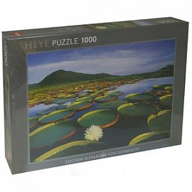 Puzzle-1000 'Лилии' (29593)