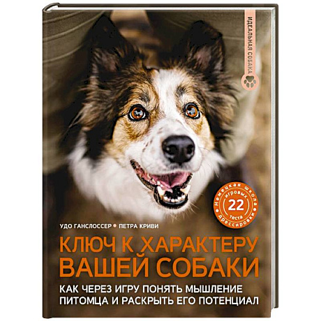 Фото Ключ к характеру вашей собаки. Как через игру понять мышление питомца и раскрыть его потенциал