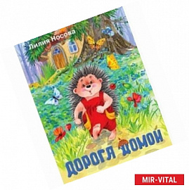 Дорога домой