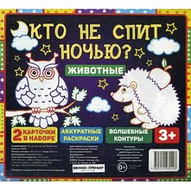 Кто не спит ночью? Животные